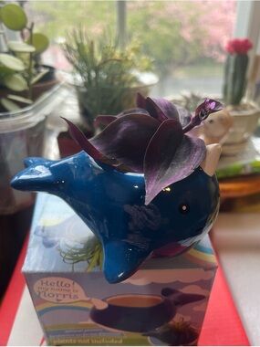 Blue Ceramic Narwhal Planter + 1 Live Wandering Jew Unrooted Cuttings